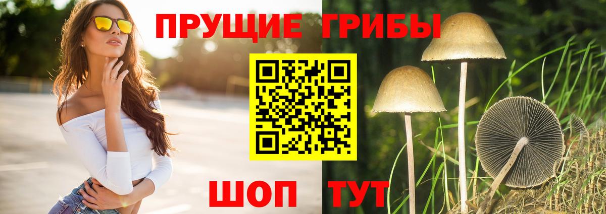 Домодедово  Псилоцибиновые грибы Psilocybe  Псилоцибиновые грибы Magic Shrooms  Вход с VPN 